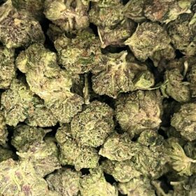 Kosher Kush — Indica: A Deep Dive into This Award-Winning Strain